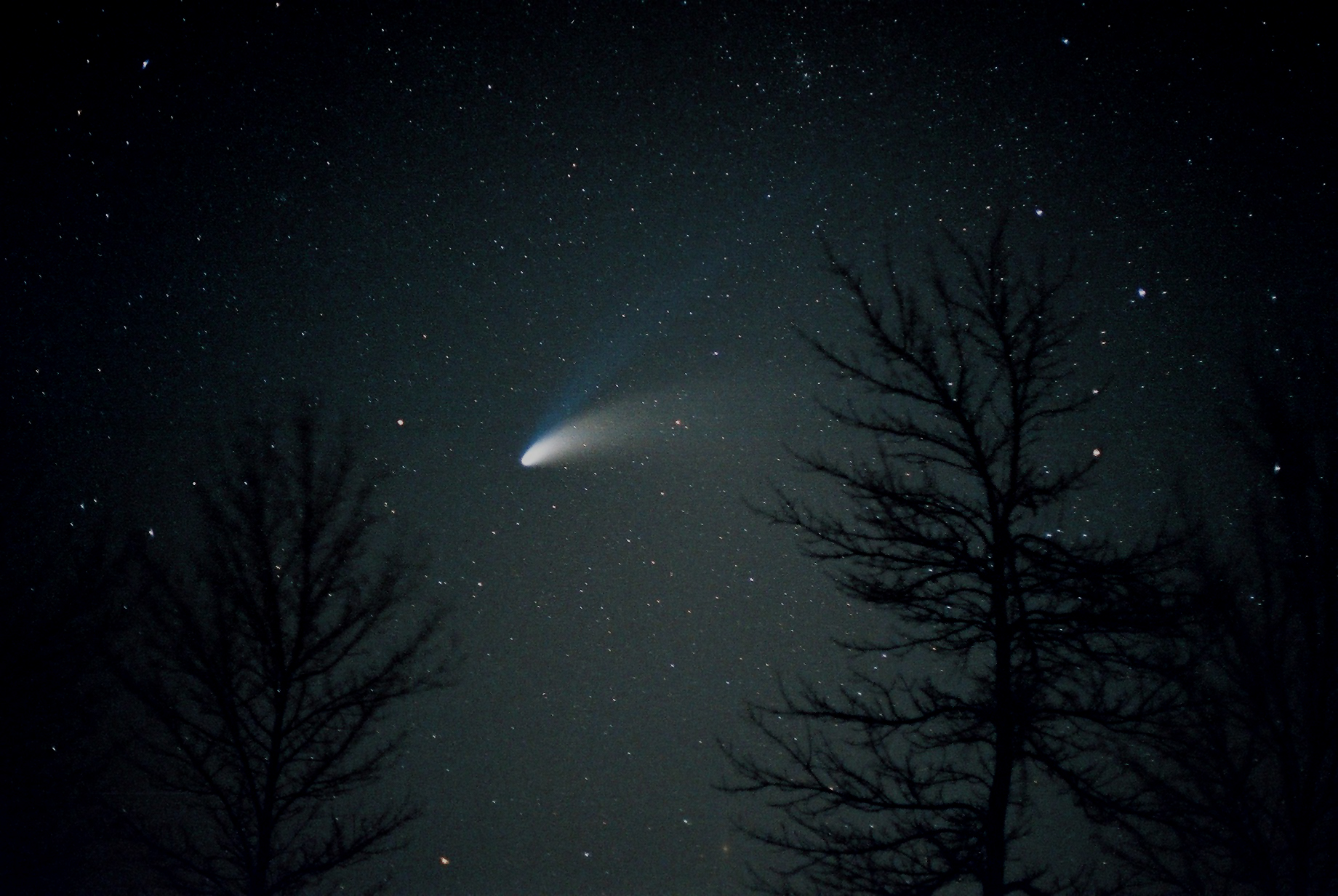 Click to ZOOM... Hale-Bopp 1997 photograph (1997)